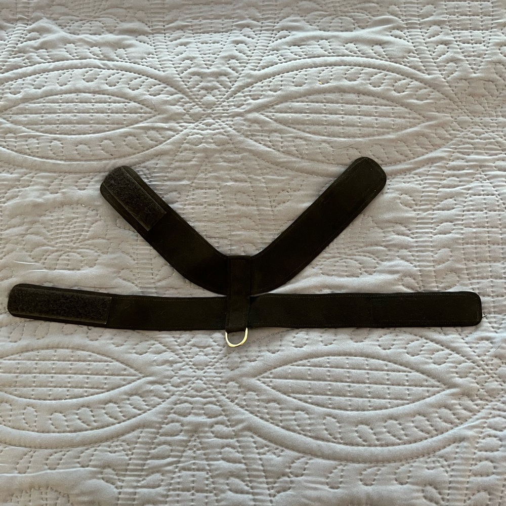 Susan Lanci Tinkie Dog Harness